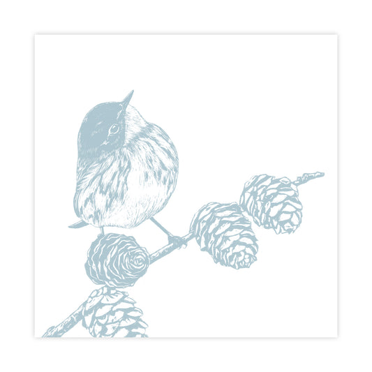 Card Crowned Warbler