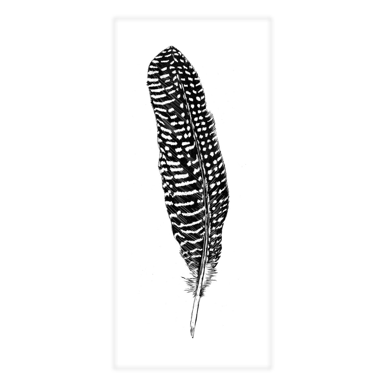 Card guinea fowl feather